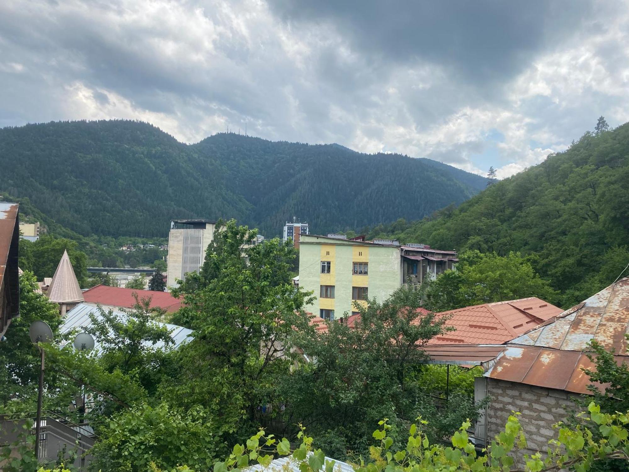Hillside Guesthouse Bordżomi Zewnętrze zdjęcie